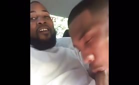 this thug loves to suck dick in the car