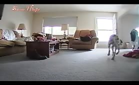 Hidden Cam Blowjob Str8 Friends Son